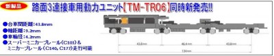 tm-tr06.jpg