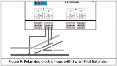 PolarizzazioneElectrofrog.JPG