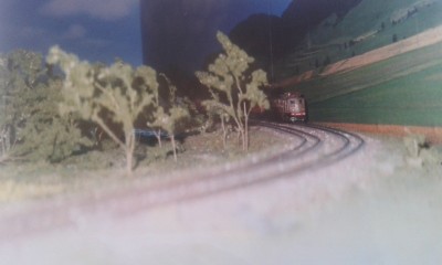 05 Linea.jpg