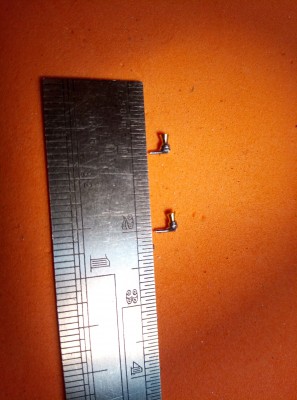 IMG_20240708_170356_856.jpg