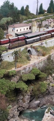 kit loco kt.jpg