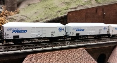 20250920_171516.jpg