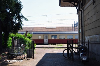 DSC_3533b.jpg